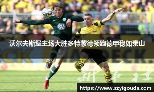 沃爾夫斯堡主場大勝多特蒙德領跑德甲穩如泰山