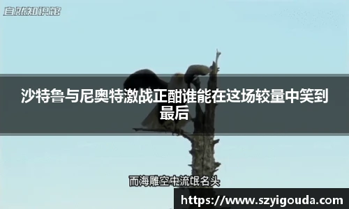 沙特魯與尼奧特激戰正酣誰能在這場較量中笑到最后